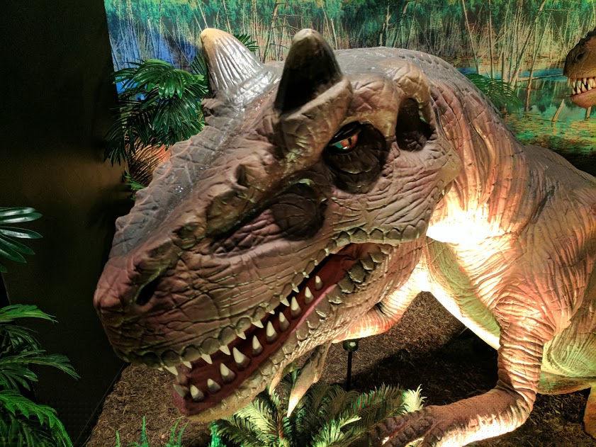 dinosaur