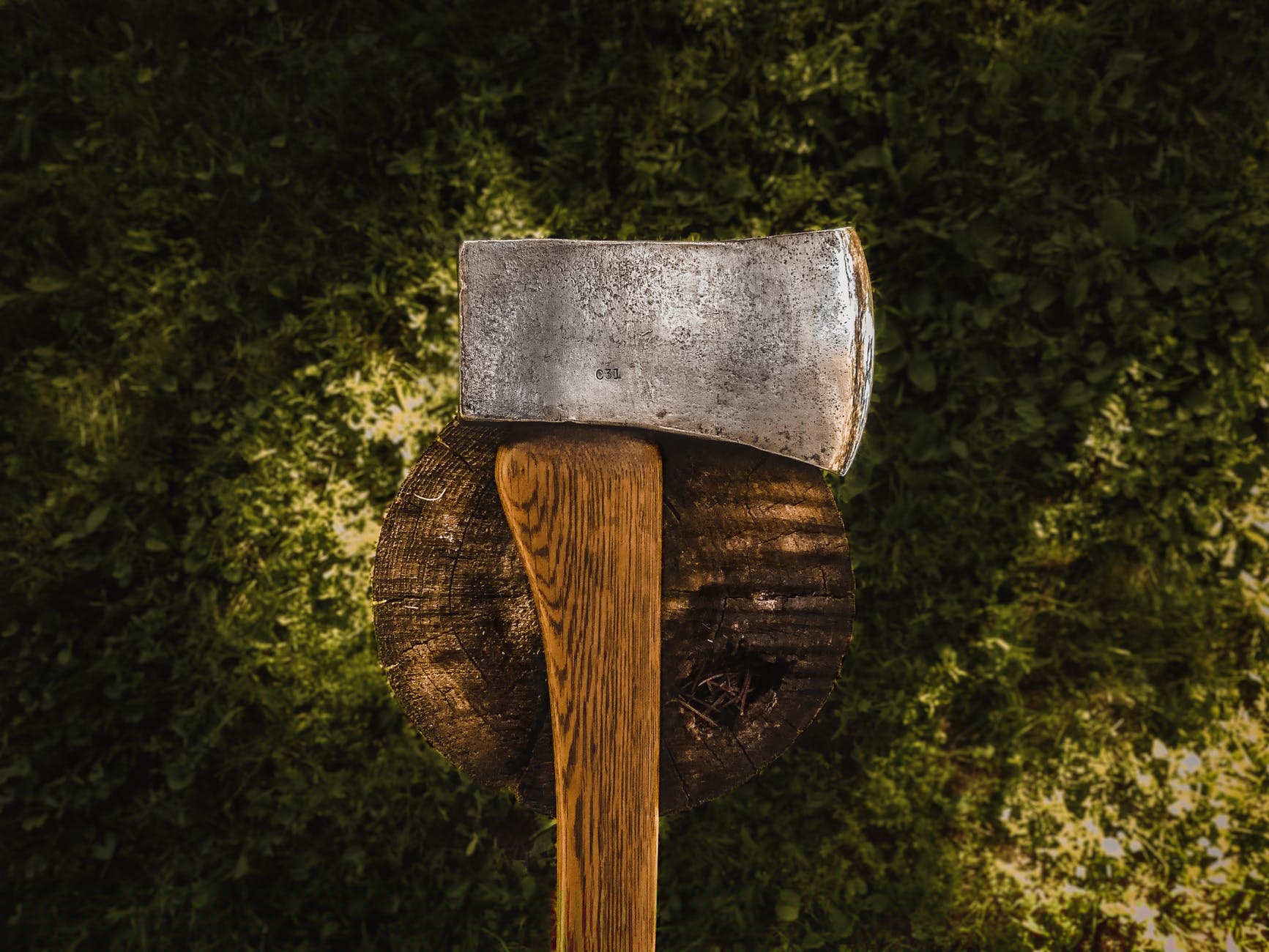 brown hatchet on log