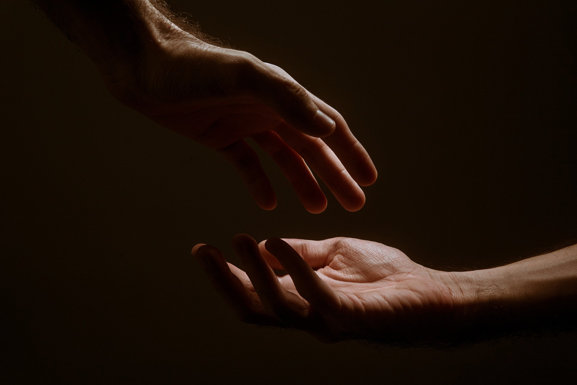 hand-5216581_1920