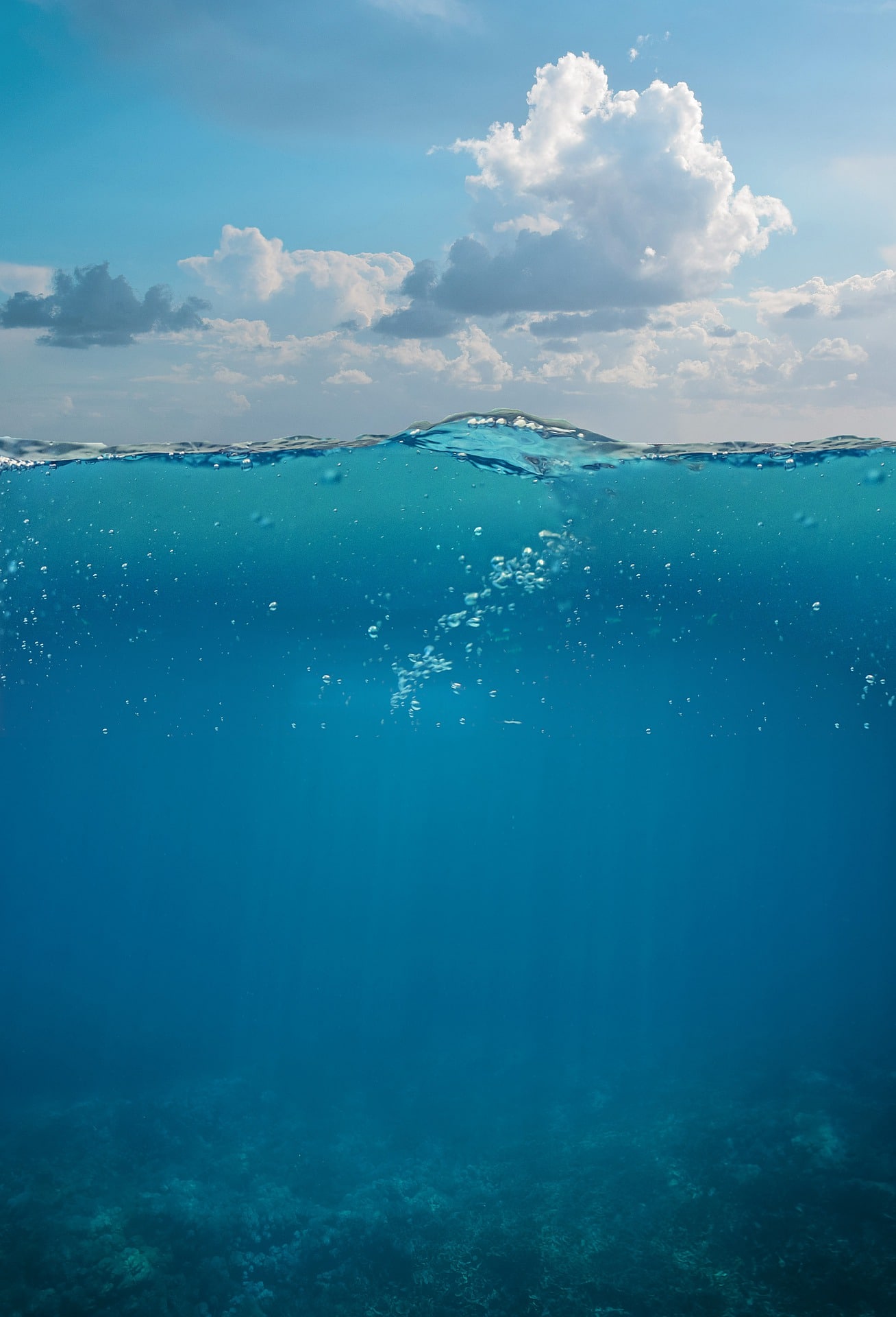 underwater-4286600_1920