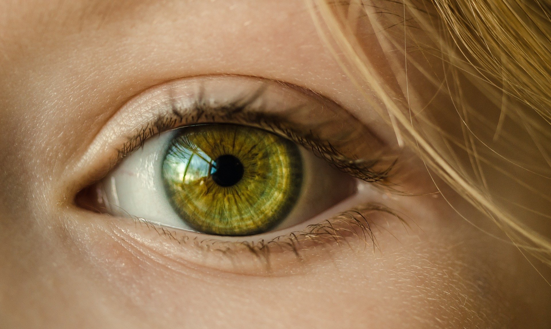 eye-1132531_1920-1