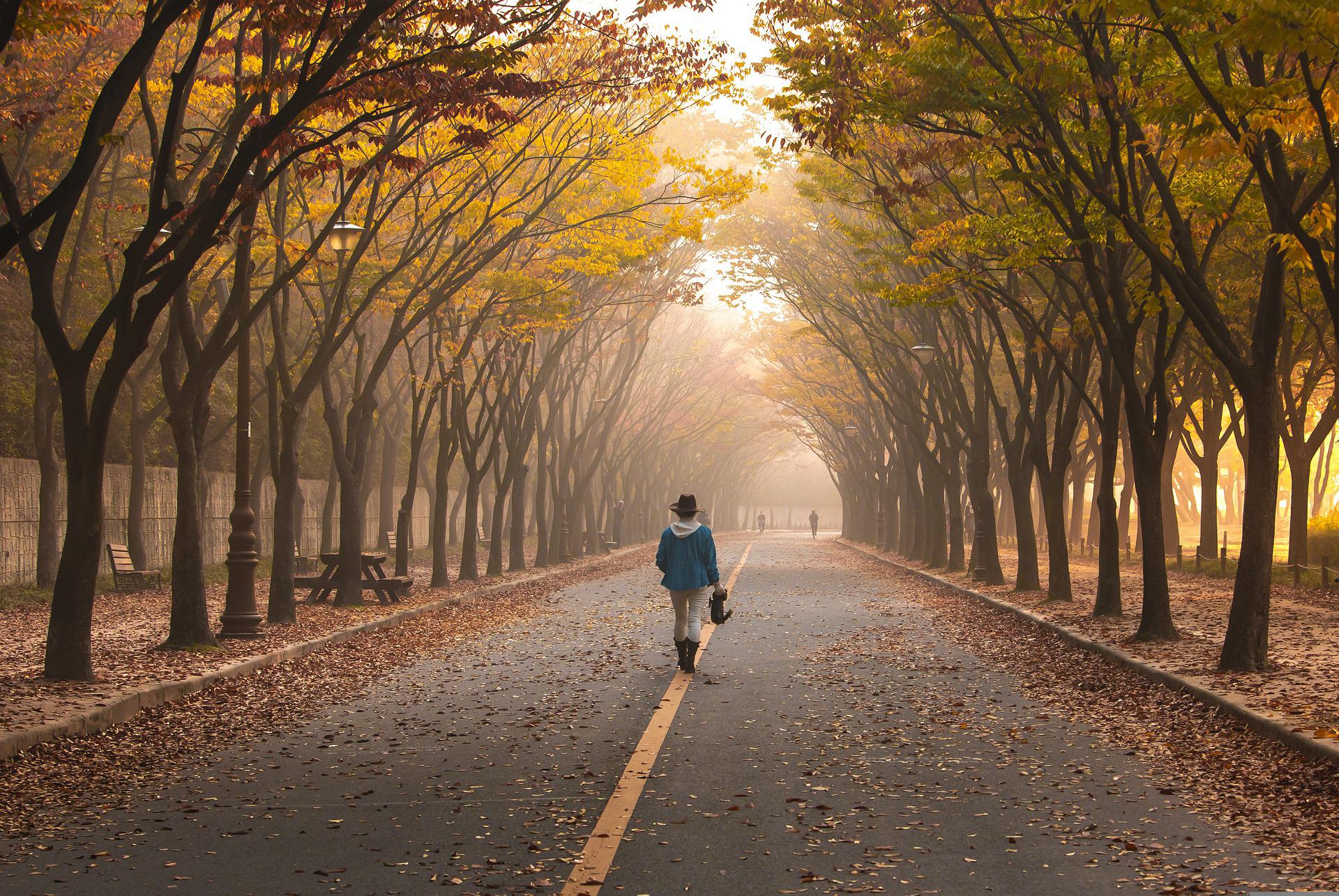 road-5767221_1920