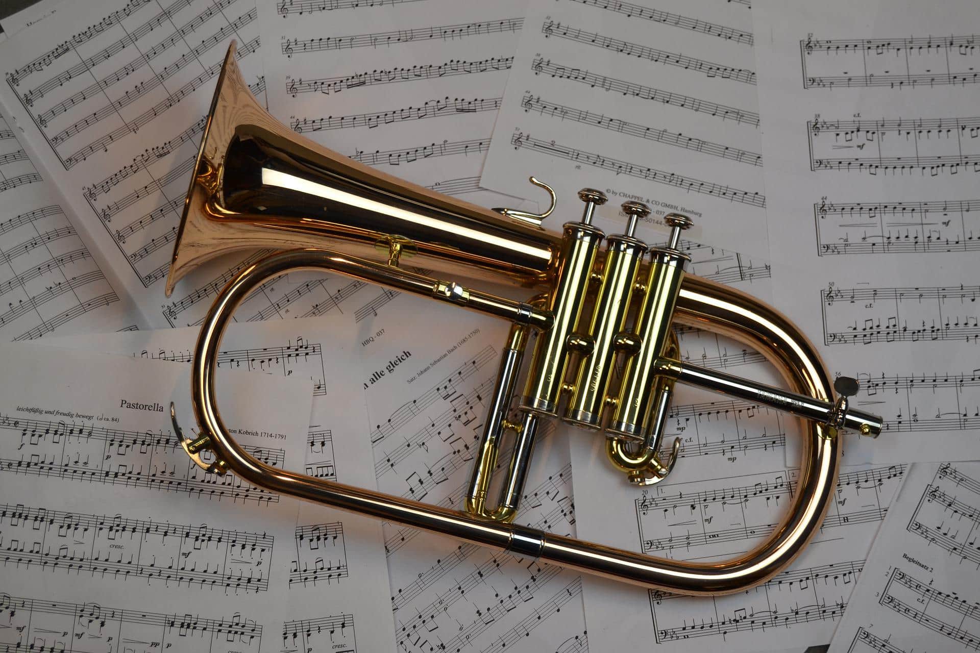 music-4987649_1920