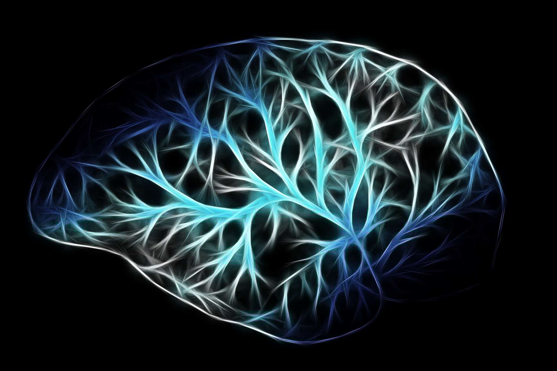 brain-2676370_1920