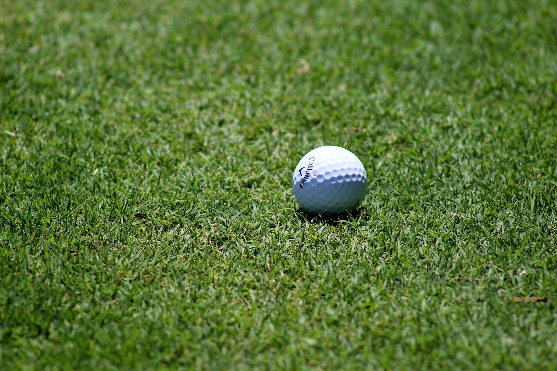 golf-1850984_1920