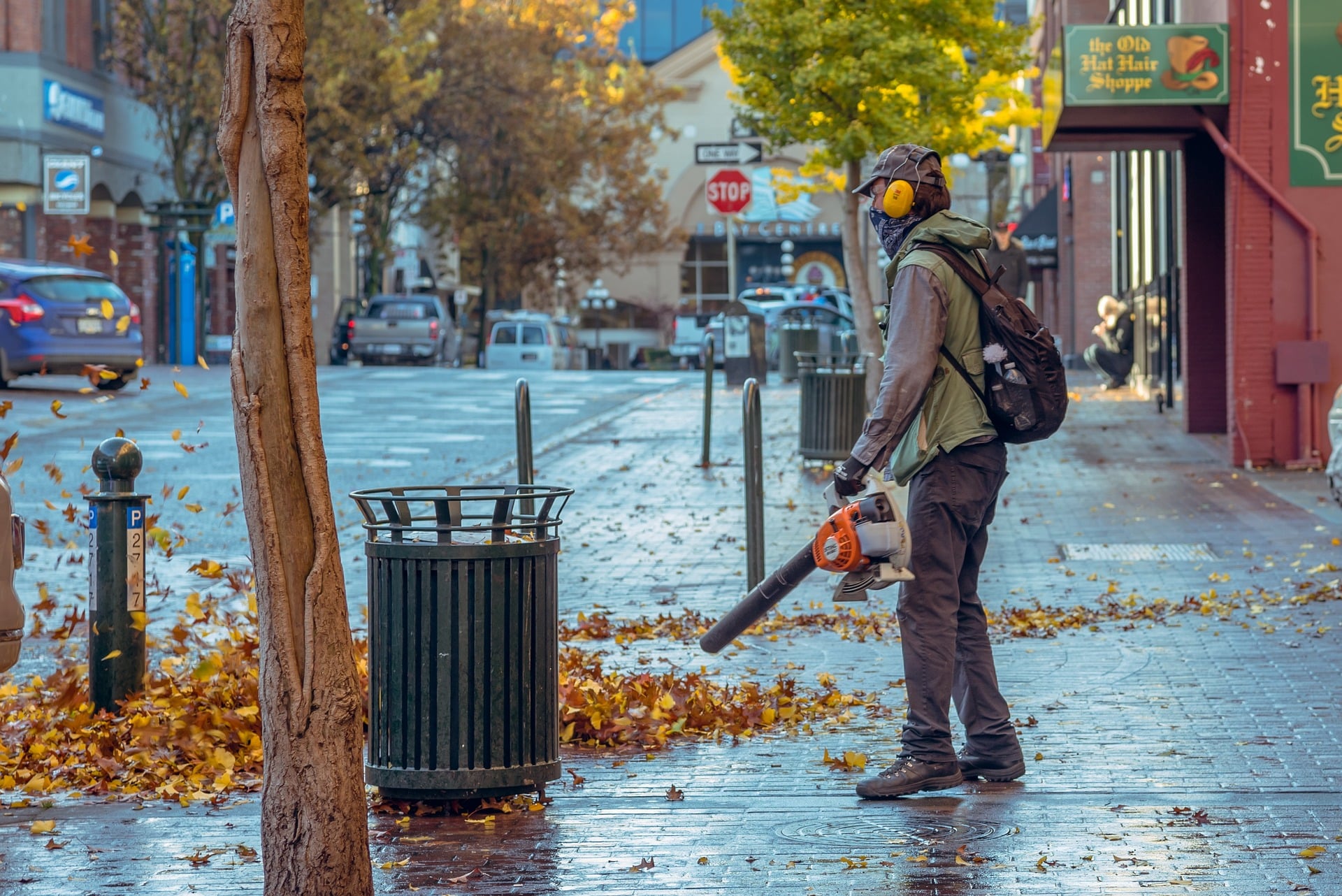 fall-3829152_1920