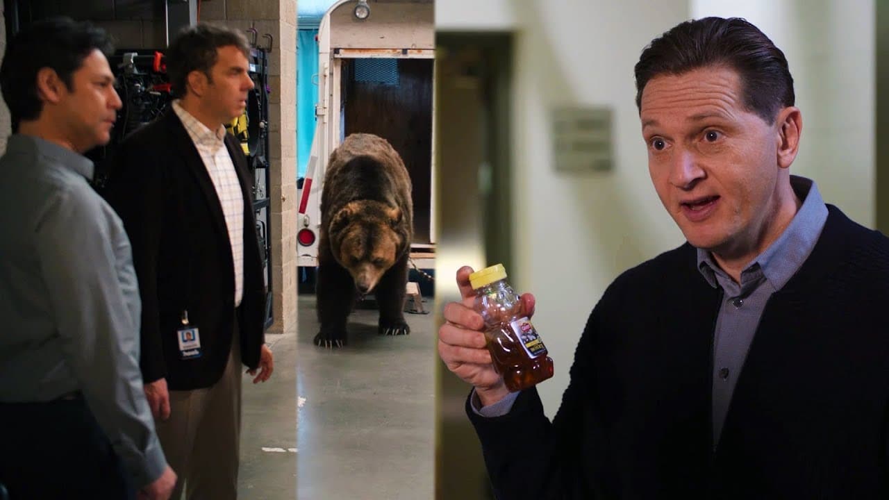 the-bear-is-sticky-with-honey